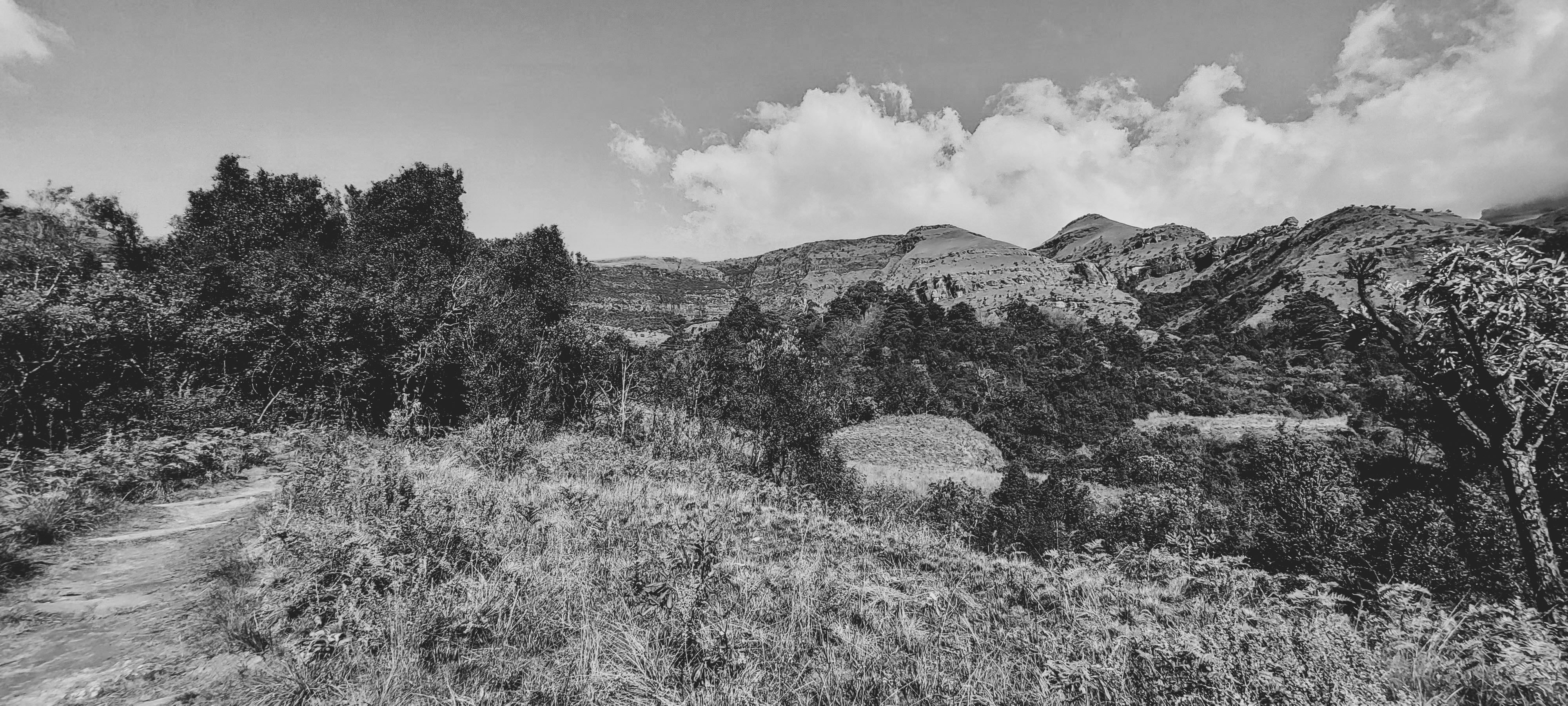 GYT 20220624 123053 20220624 123053